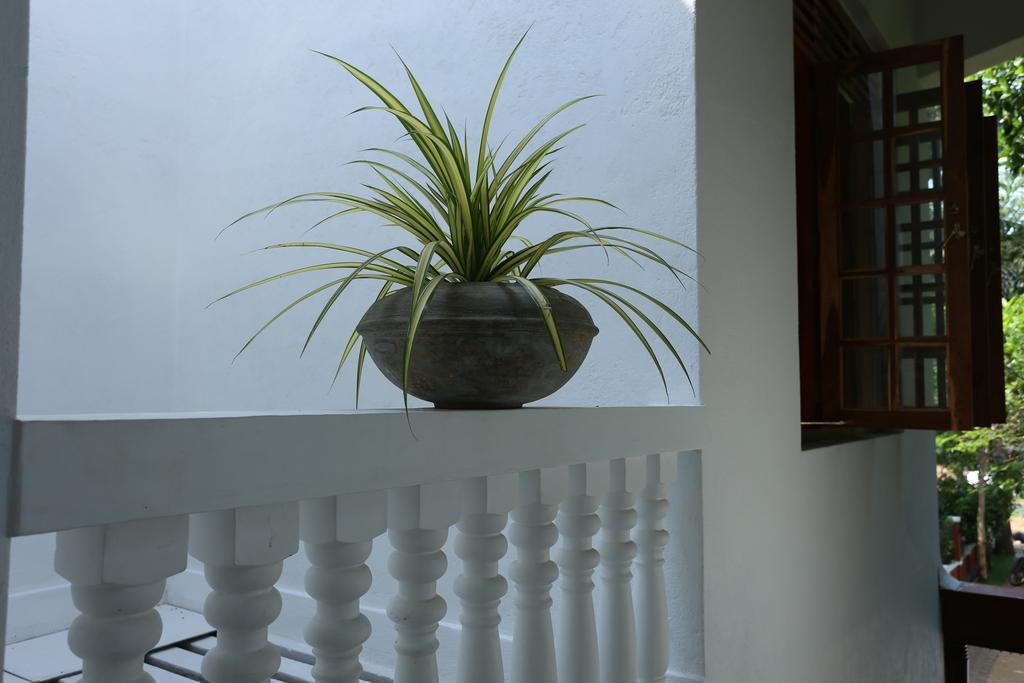 Amsterdam Tourist Rest Bed & Breakfast Anuradhapura Exterior photo