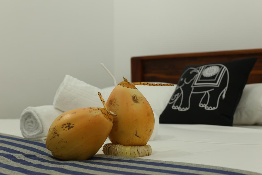 Amsterdam Tourist Rest Bed & Breakfast Anuradhapura Exterior photo